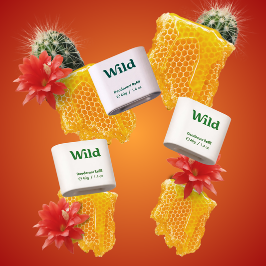 Honey and Cactus trio pack