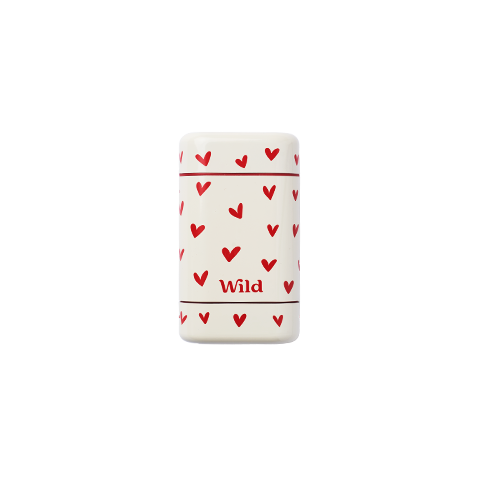 Red Love Heart Stick Deodorant Case